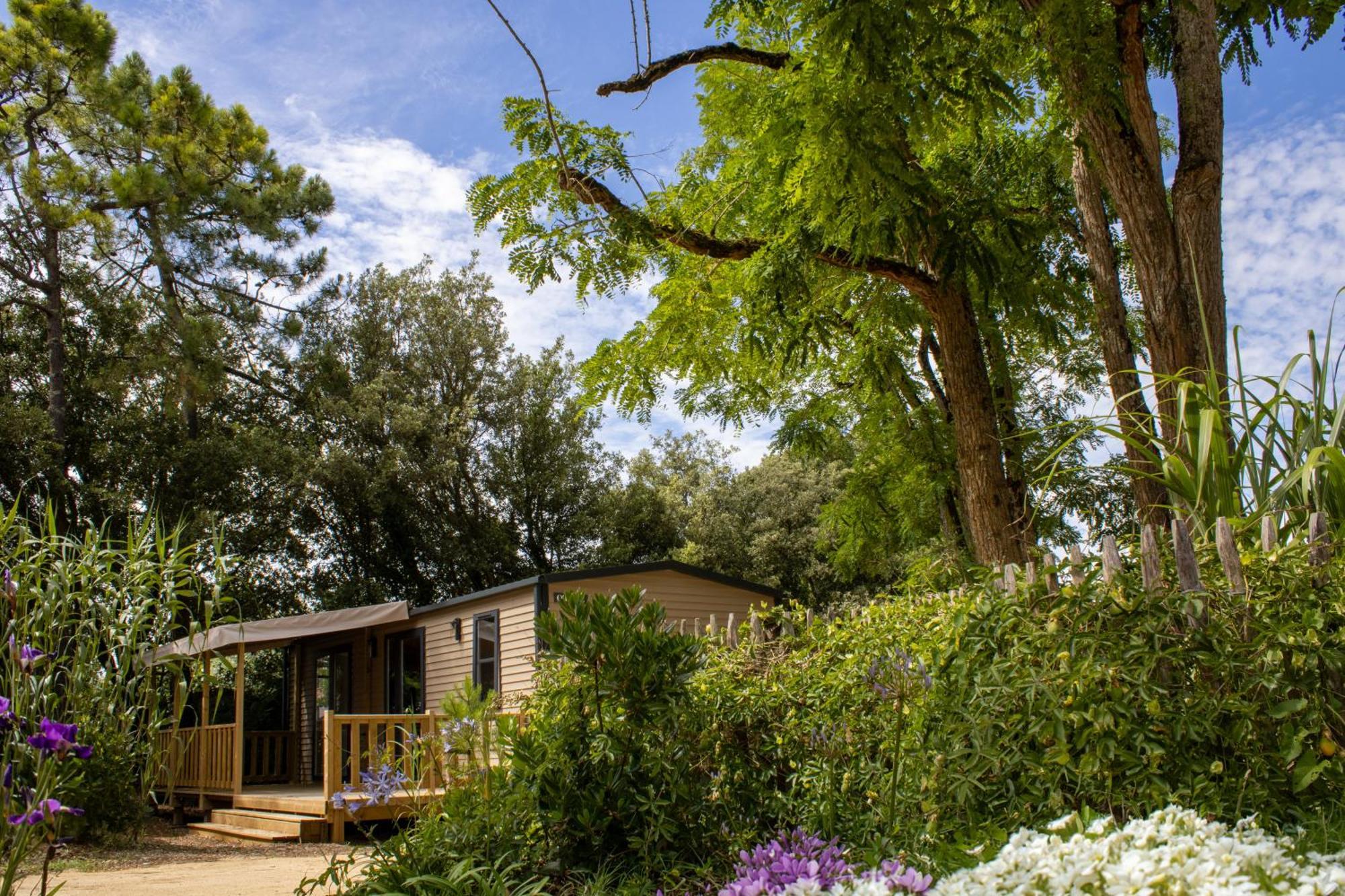 Camping Le Bois Verdon Σαιν-Ζαν-ντε-Μον Εξωτερικό φωτογραφία