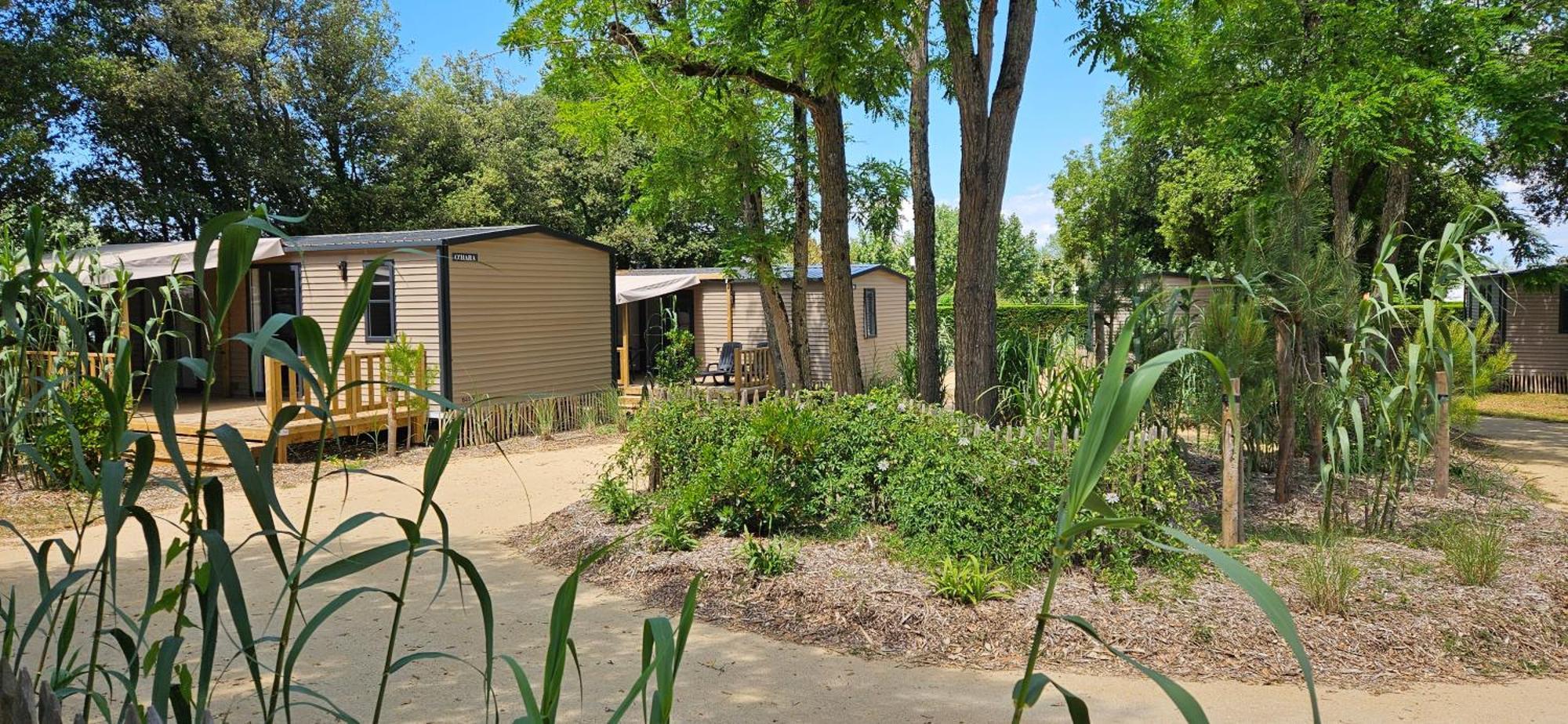Camping Le Bois Verdon Σαιν-Ζαν-ντε-Μον Εξωτερικό φωτογραφία