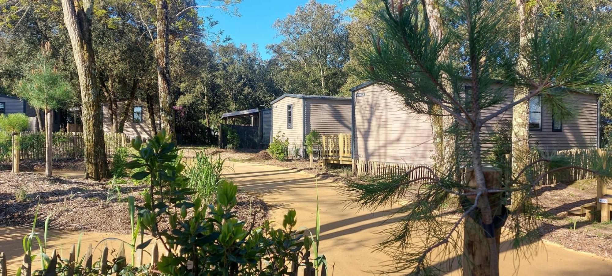 Camping Le Bois Verdon Σαιν-Ζαν-ντε-Μον Εξωτερικό φωτογραφία