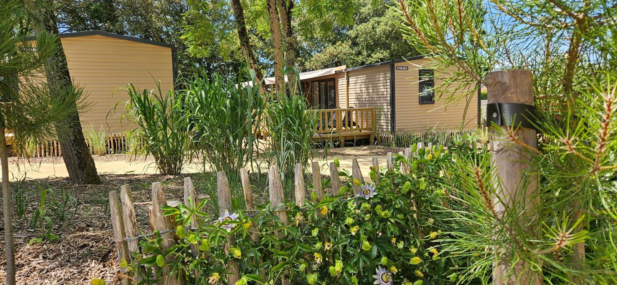 Camping Le Bois Verdon Σαιν-Ζαν-ντε-Μον Εξωτερικό φωτογραφία