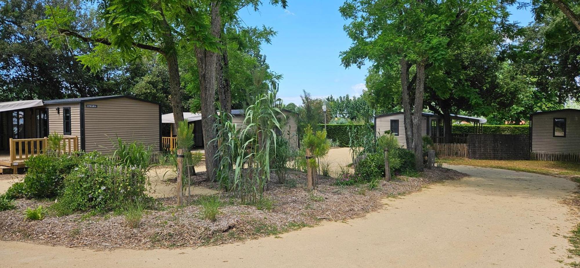 Camping Le Bois Verdon Σαιν-Ζαν-ντε-Μον Εξωτερικό φωτογραφία