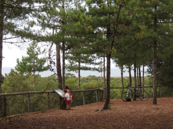 Camping Le Bois Verdon Σαιν-Ζαν-ντε-Μον Εξωτερικό φωτογραφία